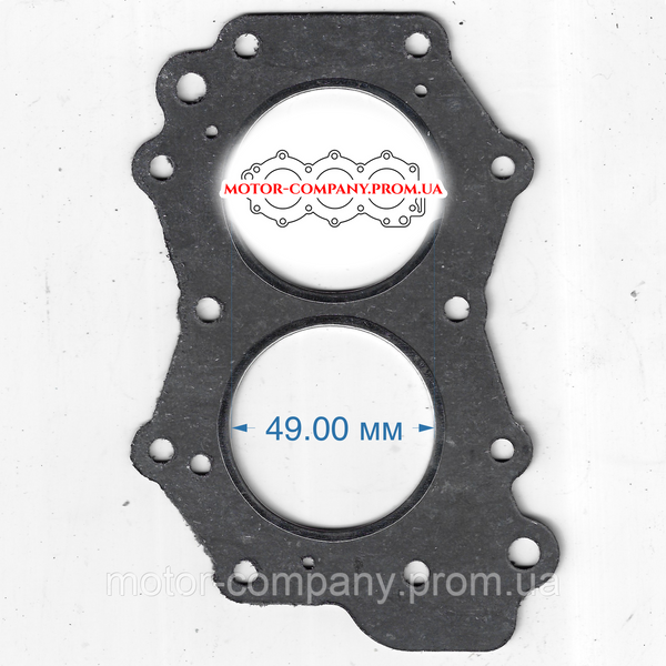Прокладка ГБЦ Evinrude 6 2247890869 фото